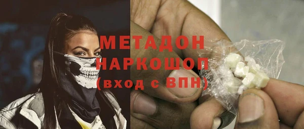 прущие грибы Гатчина