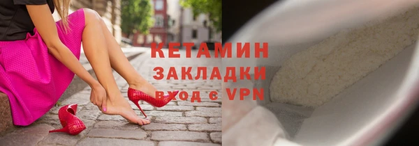 прущие грибы Гатчина