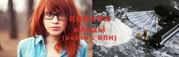 прущие грибы Гатчина